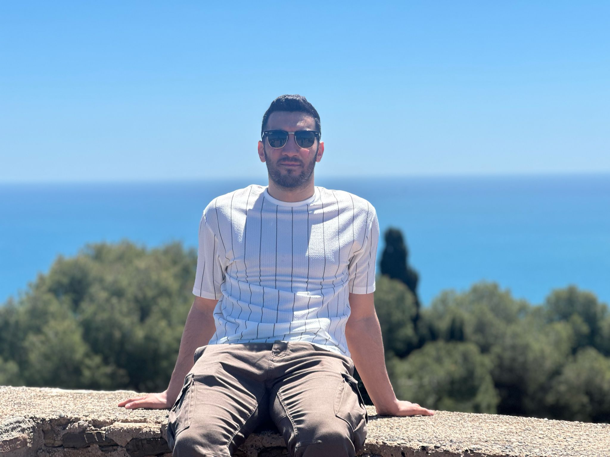 Developer Image